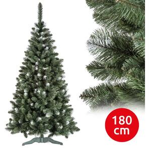 Božićno drvce POLA 180 cm bor