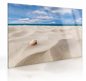 Staklena slika - Školjke na plaži (70x50 cm)