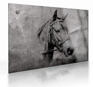 Staklena slika - Portret konja (70x50 cm)