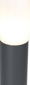 Vanjska svjetiljka antracit 80 cm IP44 - Rox