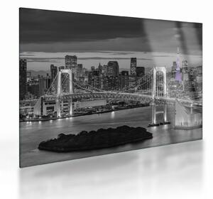 Staklena slika - Veliki grad s ljubičastim tornjem (70x50 cm)