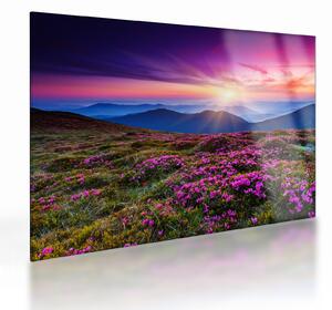 Staklena slika - Planinski cvjetni krajolik (70x50 cm)