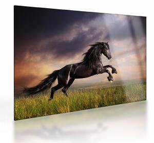Staklena slika - Konji (70x50 cm)