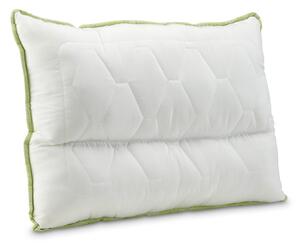 Dormeo Anatomski jastuk Aloe Vera