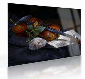 Staklena slika - Ruže i violina (70x50 cm)