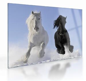 Staklena slika - Konji zimi (70x50 cm)