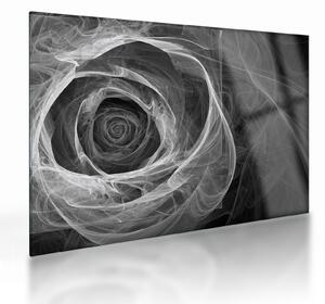 Staklena slika - Crno-bijela apstraktna ruža (70x50 cm)