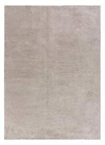 Svijetlo sivi tepih 120x170 cm Loft - Universal