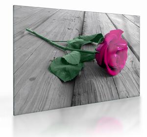 Staklena slika - Ružičasta ruža sa zelenom stabljikom (70x50 cm)