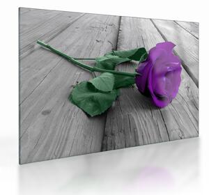 Staklena slika - Ljubičasta ruža sa zelenom stabljikom (70x50 cm)