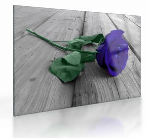 Staklena slika - Plava ruža sa zelenom stabljikom (70x50 cm)