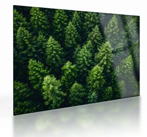 Staklena slika - Šuma (70x50 cm)