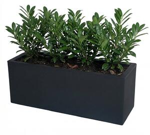 Žardinjera Balcony 80 antracit boja - Antracit - 0 - 30cm - Umjetna masa - do 30cm
