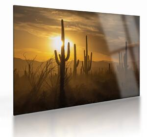 Staklena slika - Saguaro kaktusi (70x50 cm)