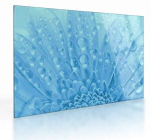 Staklena slika - Makro snimak cvijeta (70x50 cm)