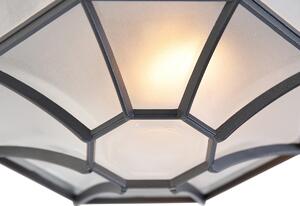 Seoska stropna svjetiljka tamno siva IP44 - Bri L
