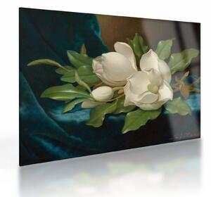 Staklena slika - Martin Johnson Heade, Giant Magnolias on a Blue Velvet Cloth, reprodukcije (70x50 cm)