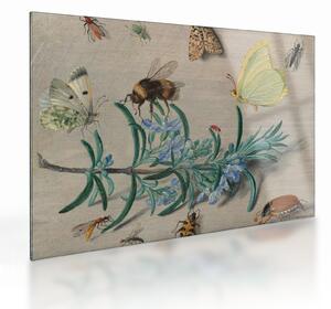 Staklena slika - Jan van Kessel the Elder, Insects and a Sprig of Rosemary, reprodukcije (70x50 cm)