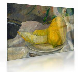 Staklena slika - French 19th Century, Melon and Lemon, reprodukcije (70x50 cm)