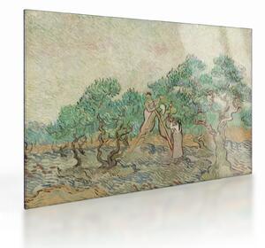 Staklena slika - Vincent van Gogh, The Olive Orchard, reprodukcije (70x50 cm)