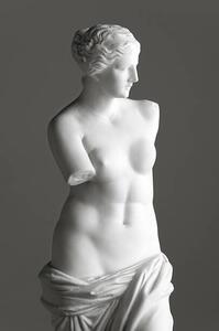 Umjetnička fotografija Venus de Milo on grey, 221A, (26.7 x 40 cm)