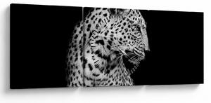 Slika - Leopard (sa satom) (90x30 cm)