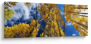 Slika - Aspen (sa satom) (90x30 cm)