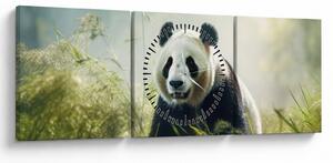 Slika - Panda (sa satom) (90x30 cm)