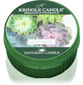 Kringle Candle Succulents čajna svijeća 42 g