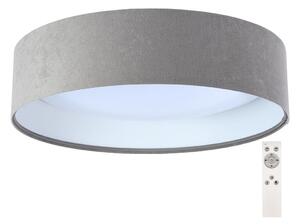 LED Prigušiva stropna svjetiljka SMART GALAXY LED/24W/230V siva/bijela + DU