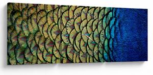 Slika - Paunovo perje (sa satom) (90x30 cm)