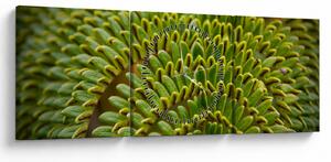 Slika - Paprat (sa satom) (90x30 cm)
