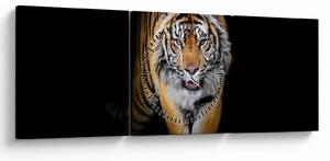 Slika - Tigar (sa satom) (90x30 cm)