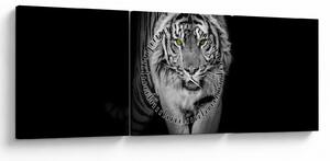 Slika - Tigar sa žutim očima (sa satom) (90x30 cm)