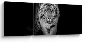 Slika - Tigar s plavim očima (sa satom) (90x30 cm)