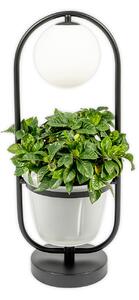 Stolne Lampa Lindby, Orna, Crno, Dnevna soba, Metal, Moderan