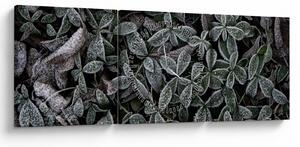Slika - Smrznute biljke (sa satom) (90x30 cm)
