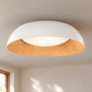 Lindby Gracyn LED stropna svjetiljka, bijela, Ø 50 cm, prigušivanje u koracima, prigušiva, Bijela, Dnevni boravak/blagovaonica, Plastika