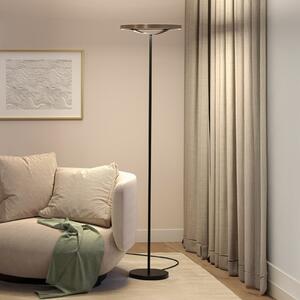 Paulmann Melira LED podna lampa, crna/zlatna, visina 157 cm, prigušiva, Crno, Dnevni boravak/blagovaonica, Metal