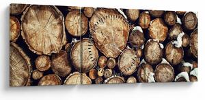 Slika - Drvo u snijegu (sa satom) (90x30 cm)