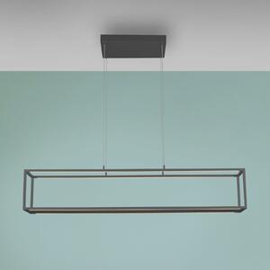Paul Neuhaus LED viseća lampa Conni, crna, 130 cm, CCT, prigušiva, Crno, Dnevni boravak/blagovaonica, Aluminij