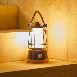 Lumisky Wildy LED punjiva stolna lampa, crna/smeđa, visina 23 cm, metal, prigušiva, Crno, Metal