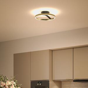 Paulmann Melira LED stropna svjetiljka, crna/zlatna, Ø 38 cm, metal, prigušiva, Crno, Dnevni boravak/blagovaonica, Metal