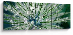 Slika - Makro slika cvijeta (sa satom) (90x30 cm)