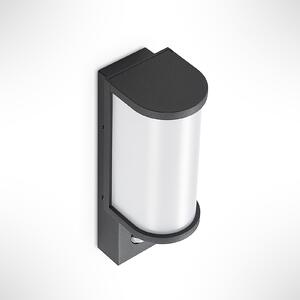 Jokum LED Vanjski Zidna lampa w/Senzor Graphite - Lucande