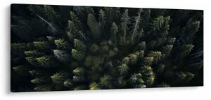 Slika - Šuma (120x50 cm)