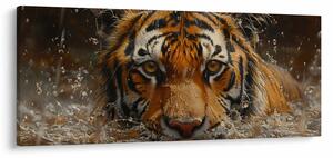 Slika - Portret tigra u vodi (120x50 cm)