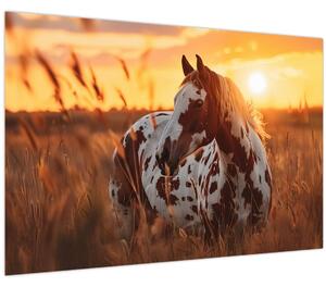 Slika - Konj pri zalasku sunca (90x60 cm)