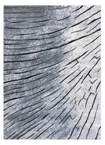 Tepih moderna COZY 8874 Timber, Drvo - Strukturne, dvije razine flora Siva / plava