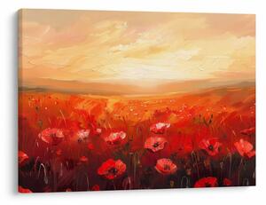 Slika - Polje makova (70x50 cm)